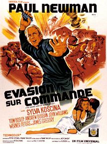 Affiche de Evasion sur commande, film à voir en streaming sur Pygargue