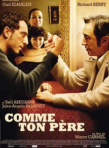 Affiche de Comme ton père, film à voir en streaming sur Pygargue