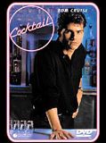 Affiche de Cocktail, film à voir en streaming sur Pygargue