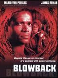 Affiche de Blowback, film à voir en streaming sur Pygargue