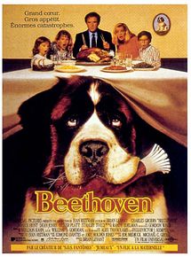 Affiche de Beethoven, film à voir en streaming sur Pygargue
