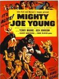 Affiche de Monsieur Joe, film à voir en streaming sur Pygargue