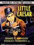 Affiche de Le Petit César, film à voir en streaming sur Pygargue
