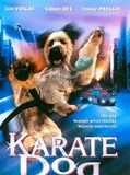 Affiche de Karaté Dog, film à voir en streaming sur Pygargue