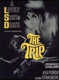 Affiche de The Trip, film à voir en streaming sur Pygargue