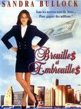 Affiche de Brouille$ et Embrouille$, film à voir en streaming sur Pygargue