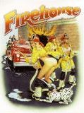 Affiche de Firehouse, film à voir en streaming sur Pygargue