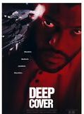 Affiche de Dernière limite, film à voir en streaming sur Pygargue