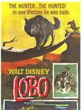 Affiche de La Légende de Lobo, film à voir en streaming sur Pygargue