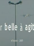Affiche de Mer belle à agitée, film à voir en streaming sur Pygargue