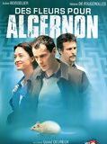 Affiche de Des fleurs pour Algernon, film à voir en streaming sur Pygargue