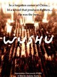 Affiche de Wushu, film à voir en streaming sur Pygargue