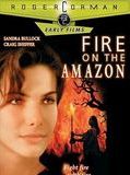Affiche de Fire on the Amazon, film à voir en streaming sur Pygargue