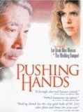 Affiche de Pousser les mains, film à voir en streaming sur Pygargue