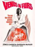 Affiche de Paroxismus, film à voir en streaming sur Pygargue