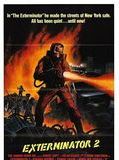 Affiche de Exterminator II, film à voir en streaming sur Pygargue