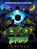 Affiche de Turtles Forever, film à voir en streaming sur Pygargue