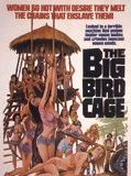 Affiche de The Big Bird Cage, film à voir en streaming sur Pygargue
