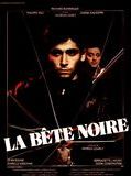 Affiche de La Bête noire, film à voir en streaming sur Pygargue