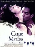 Affiche de Coeur de métisse, film à voir en streaming sur Pygargue