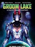 Affiche de Groom lake, film à voir en streaming sur Pygargue