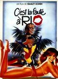 Affiche de C'est La faute à Rio, film à voir en streaming sur Pygargue