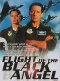 Affiche de Flight of Black Angel, film à voir en streaming sur Pygargue