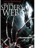Affiche de In the Spider's Web, film à voir en streaming sur Pygargue
