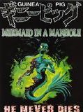 Affiche de Guinea Pig : Mermaid in the Manhole, film à voir en streaming sur Pygargue