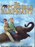 Affiche de Un éléphant à la maison, film à voir en streaming sur Pygargue