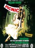 Affiche de Picnic, film à voir en streaming sur Pygargue