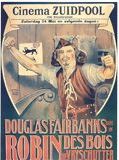 Affiche de Robin des Bois, film à voir en streaming sur Pygargue