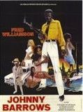 Affiche de Johnny Barrows, film à voir en streaming sur Pygargue