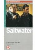Affiche de Saltwater, film à voir en streaming sur Pygargue