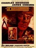 Affiche de Le Bagarreur, film à voir en streaming sur Pygargue