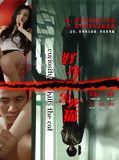 Affiche de Curiosity Kills the Cat, film à voir en streaming sur Pygargue