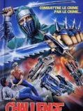 Affiche de Challenge ninja, film à voir en streaming sur Pygargue