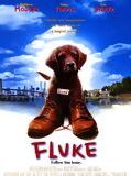 Affiche de Fluke, film à voir en streaming sur Pygargue