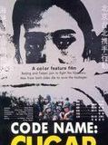 Affiche de Code name : Cougar, film à voir en streaming sur Pygargue