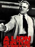 Affiche de Un lion dans les rues, film à voir en streaming sur Pygargue