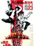 Affiche de Drunken monkey, film à voir en streaming sur Pygargue