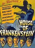 Affiche de La Maison de Frankenstein, film à voir en streaming sur Pygargue