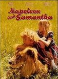 Affiche de Napoleon and Samantha, film à voir en streaming sur Pygargue