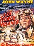 Affiche de Les Tigres volants, film à voir en streaming sur Pygargue
