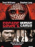 Affiche de Escape: Human Cargo, film à voir en streaming sur Pygargue