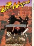 Affiche de 3 Little Ninjas and the Lost Treasure, film à voir en streaming sur Pygargue