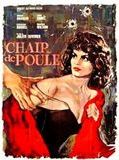 Affiche de Chair de poule, film à voir en streaming sur Pygargue