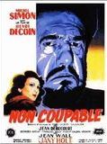 Affiche de Non coupable, film à voir en streaming sur Pygargue