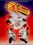 Affiche de Les 3 ninjas se révoltent, film à voir en streaming sur Pygargue