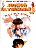 Affiche de Junior le terrible 3, film à voir en streaming sur Pygargue